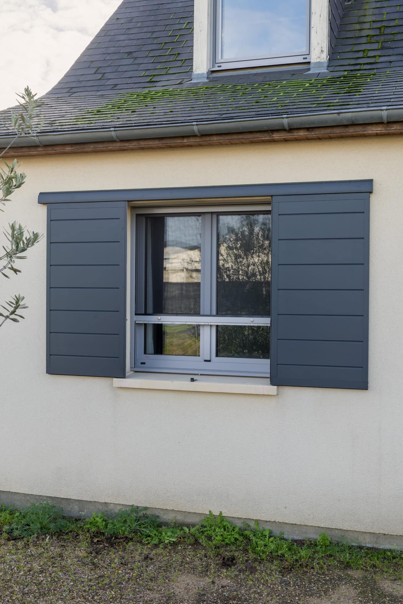 moustiquaire enroulable Maine et Loire